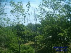 Monday June 17, 2002 01:20 - port dover canada day 2005 036.jpg